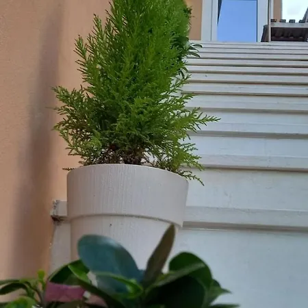 Pensionat La Fenice 40